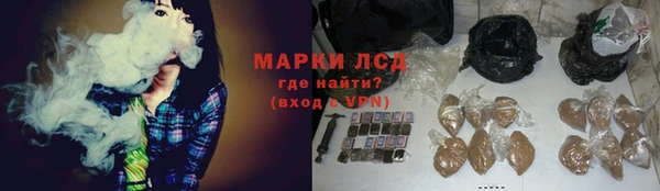 гидра Алзамай