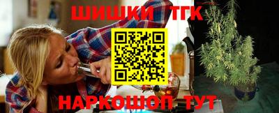 стаф Тосно