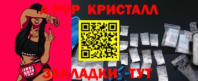 стаф Тосно