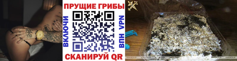 Галлюциногенные грибы мицелий Апшеронск